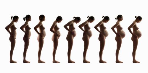 Sono incinta, quando si vedrà il pancione? 8 elementi da cosiderare
